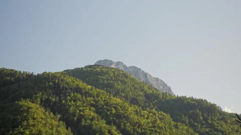 Mountain surrounded by dense forest Video stock 249405533