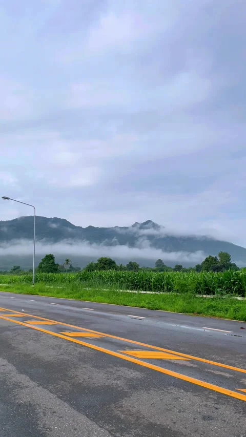 The mountain surrounded by the morning mist. Vidéo 214546753