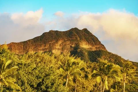 A mountain surrounded by trees, including palm trees Stock Photos
