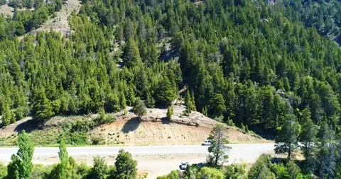 Mountain surrounded by trees, patagonia Stock Footage 207875701