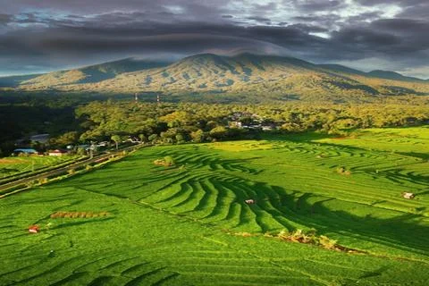Mountain surrounded by trees. Stock Photos