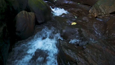 Mountain swift stream in a forest. closeup Stock Footage 110788869