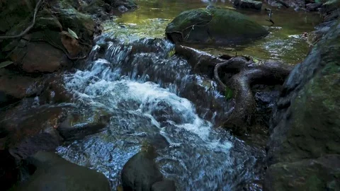 Mountain swift stream in a forest. closeup 動画素材 110788874