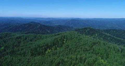 Mountain system covered with forests Video stock 76432522