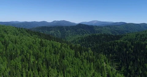 Mountain system covered with forests Video stock 76432652
