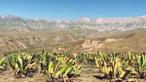 The mountain system of the Western Tien Shan in Uzbekistan.  Stock Footage 265445260
