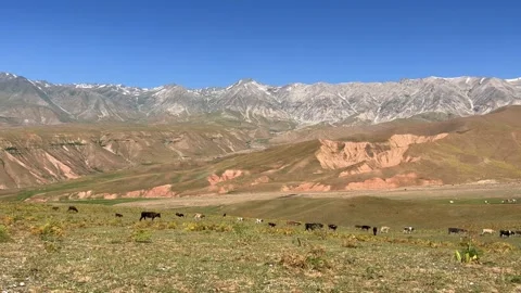 The mountain system of the Western Tien Shan in Uzbekistan. Stock Footage 288010987