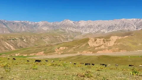 The mountain system of the Western Tien Shan in Uzbekistan. Stock Footage 299720857