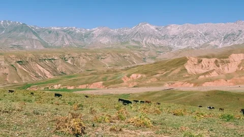 The mountain system of the Western Tien Shan in Uzbekistan. Stock Footage 299720963