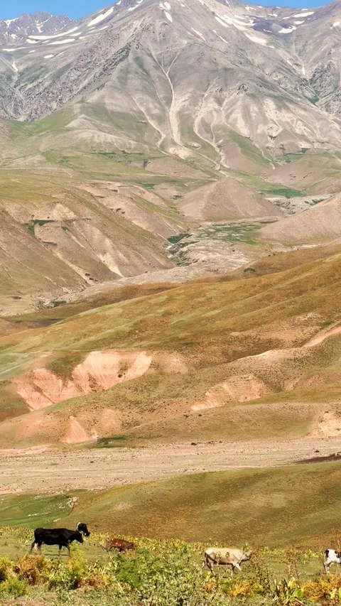 The mountain system of the Western Tien Shan in Uzbekistan. Stock Footage 299725221
