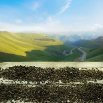 Mountain Tea Stock Photos