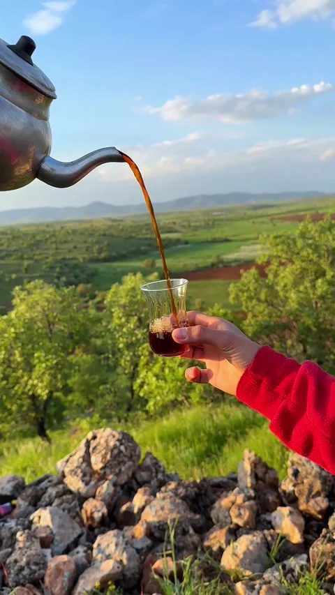 Mountain Tea Ritual: Steaming Pour 動画素材 339272166