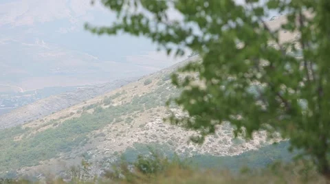 Mountain Through the Foliage Stock Footage 65823061