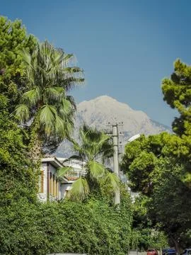 Mountain Through the Palms in Turkey Stock Photos