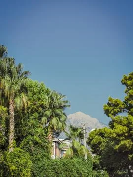 Mountain Through the Palms in Turkey Stock Photos