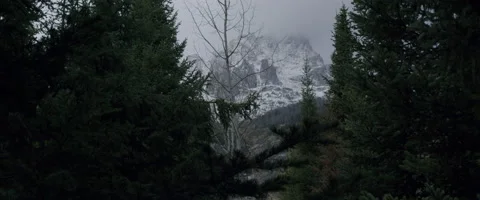 Mountain Through Trees Video stock 151304280