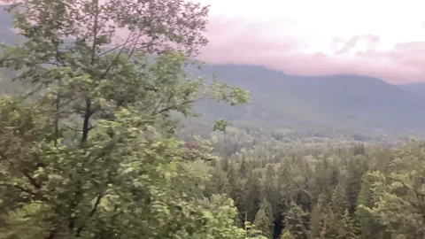 Mountain through Trees in Slow Motion Stock Footage 156973342