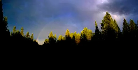 Mountain Thunderstorm Raining in Pine Forest with Rainbow Stock Photos