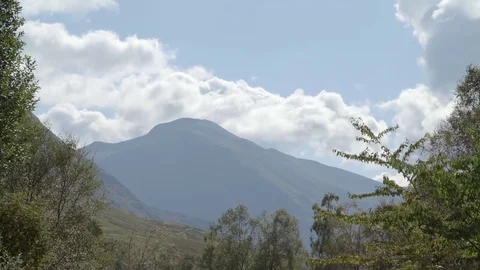 Mountain Time-lapse Through Trees Stock-Footage 69911962