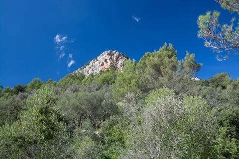 Mountain top blue sky Stock Photos