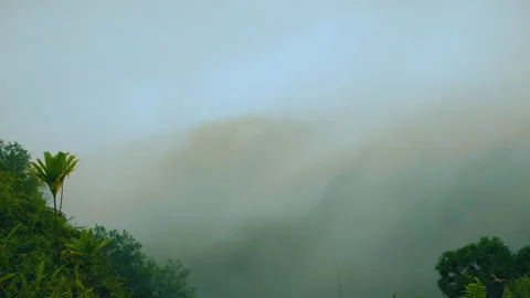 Mountain top covered in extremly thick fog. Mountain top in the clouds. Mist Vídeos de archivo 275566984