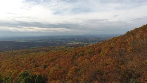 Mountain Top Fall Trees 4k Drone 스톡 동영상 82119122