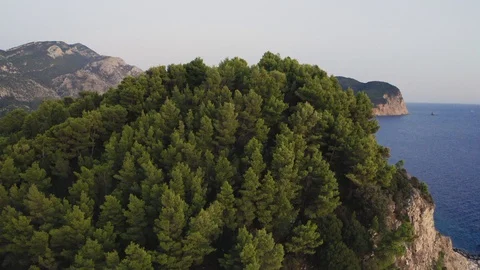 Mountain Top Forrest Stock Footage 128859379