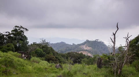 Mountain top Hon Ba in central Vietnam Stock Footage 64649168