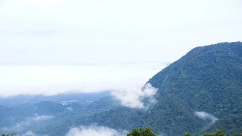 Mountain top in a rain forest in Karnataka, India 動画素材 118435757
