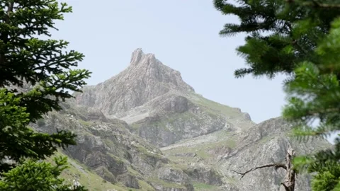 A mountain top reveals behind the pine trees Video stock 157735130