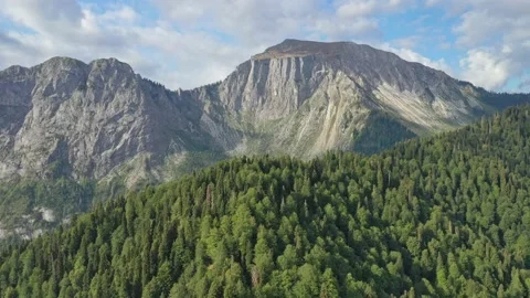 Mountain top, slopes and valley covered with forest, aerial view Stock Footage 151342683