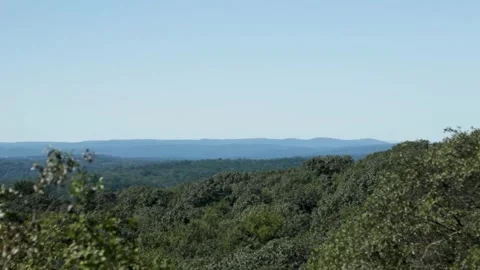 Mountain Top View of Forest in Summer Video stock 301575708