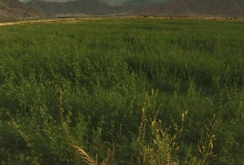 The Mountain tops 20  Stock Footage 351935