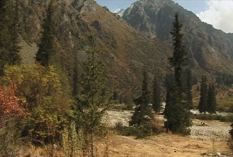 The Mountain tops 8  Stock Footage 352011