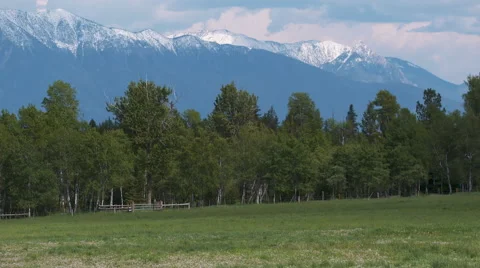 Mountain tops and trees. Video stock 67610336