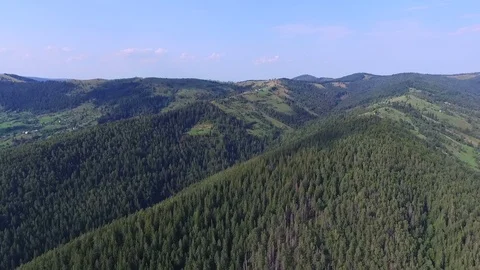 Mountain tops covered with coniferous forest. Aerial view 動画素材 87573522