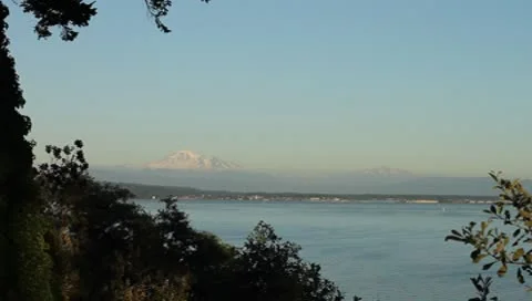 Mountain Tops Through Trees Vidéo 8974098