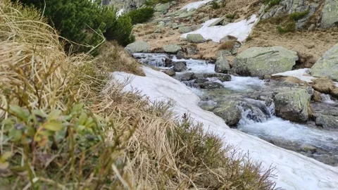 Mountain torrent 스톡 동영상 255963954