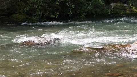 Mountain torrent  (River Flow) Stock Footage 79020430