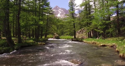 Mountain torrent in the upper Clarée valley, Hautes-Alpes, France Stock Footage 165733914