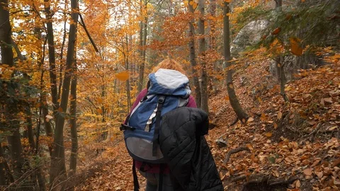 Mountain track in the dense autumn forest Video stock 86207747