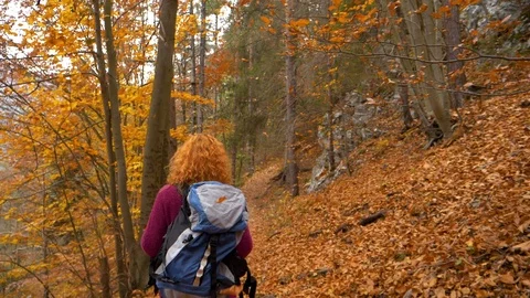 Mountain track in the dense autumn forest - slow motion Video stock 86517809