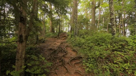 Mountain trail 1, dolly push in Stockbeeldmateriaal 8677137