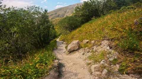 Mountain trail among greenery Stock-Footage 317688756