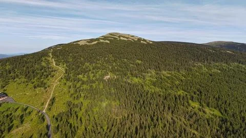 Mountain trail climbs through dense conifer forest toward rounded rocky sum.. Stock Photos