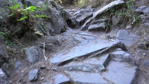 Mountain trail in the forest, climbing over rocks Video stock 160675579