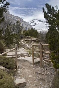 Mountain trail path leading to snow-capped pyrenees peak Stock Photos