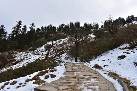 Mountain trail path with snow in winter at Tungnath trek Uttarakhand India Fotos de archivo