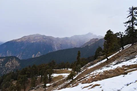 Mountain trail path with snow in winter at Tungnath trek Uttarakhand India Fotos de archivo