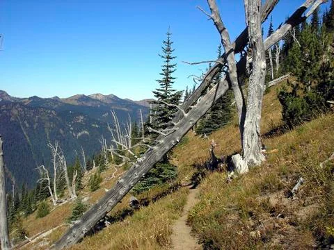 Mountain trail Stock Photos